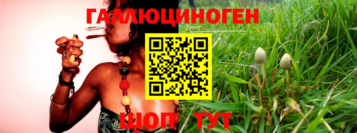 Псилоцибиновые грибы ЛСД Красноярск